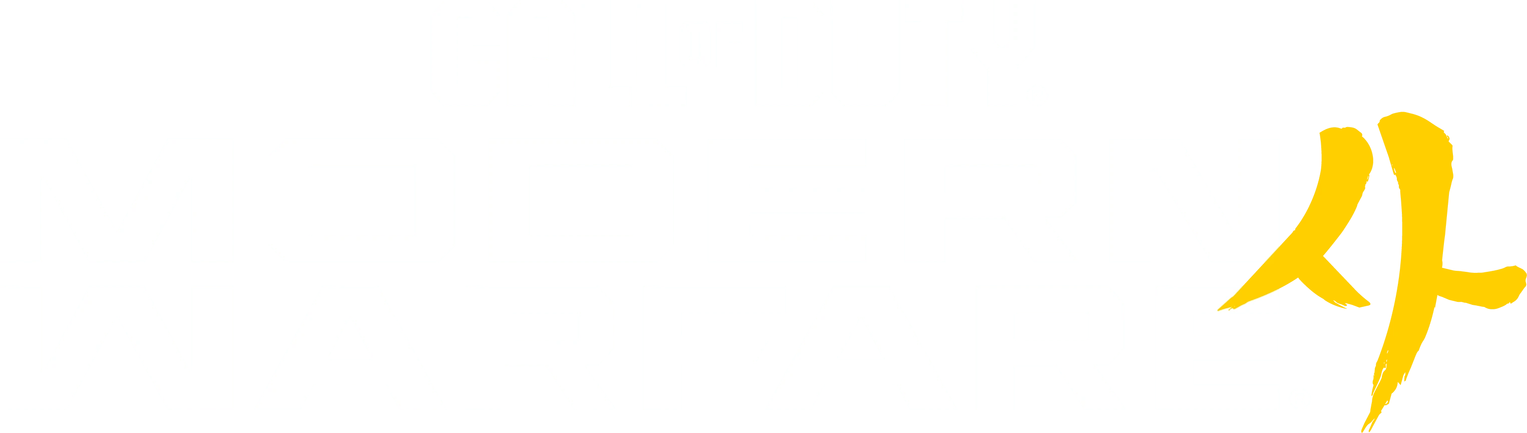 Modern Warfare 4